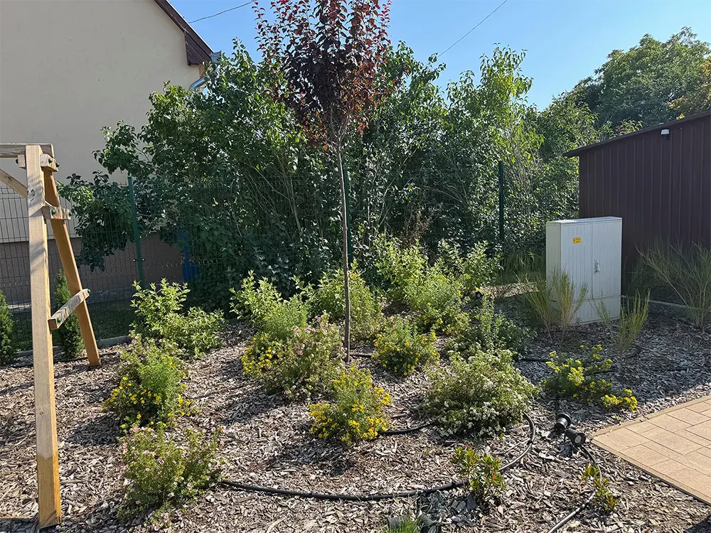 Eco-Exkluzív Kertépítés