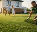 Gyepszőnyeg Kaposvár: Megéri az azonnali zöld pázsit 2026-ban?