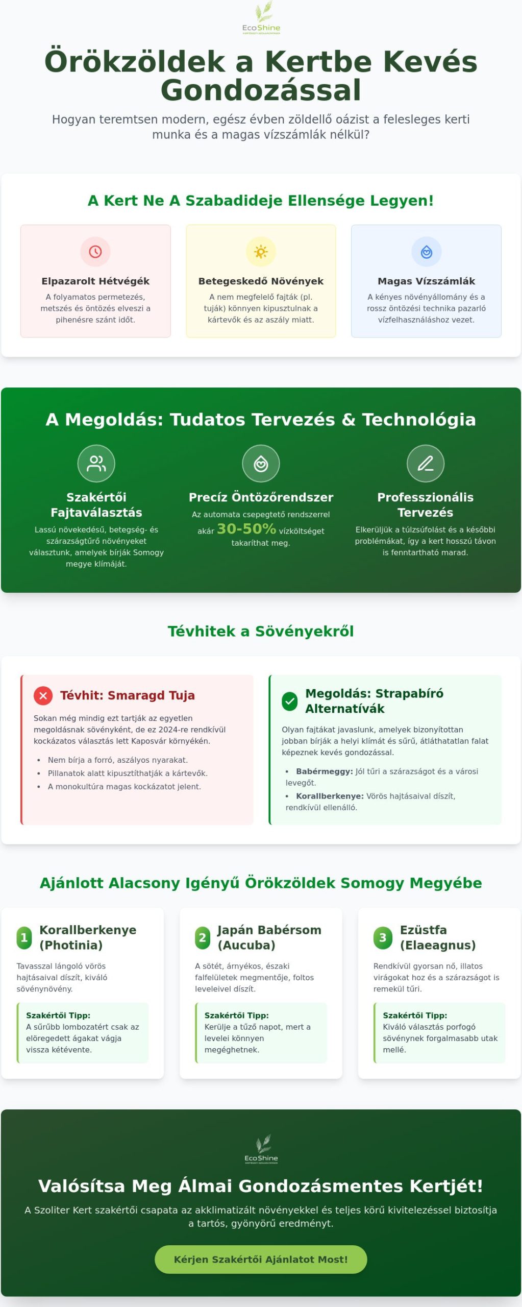 Örökzöldek a kertbe kevés gondozással: Tippek