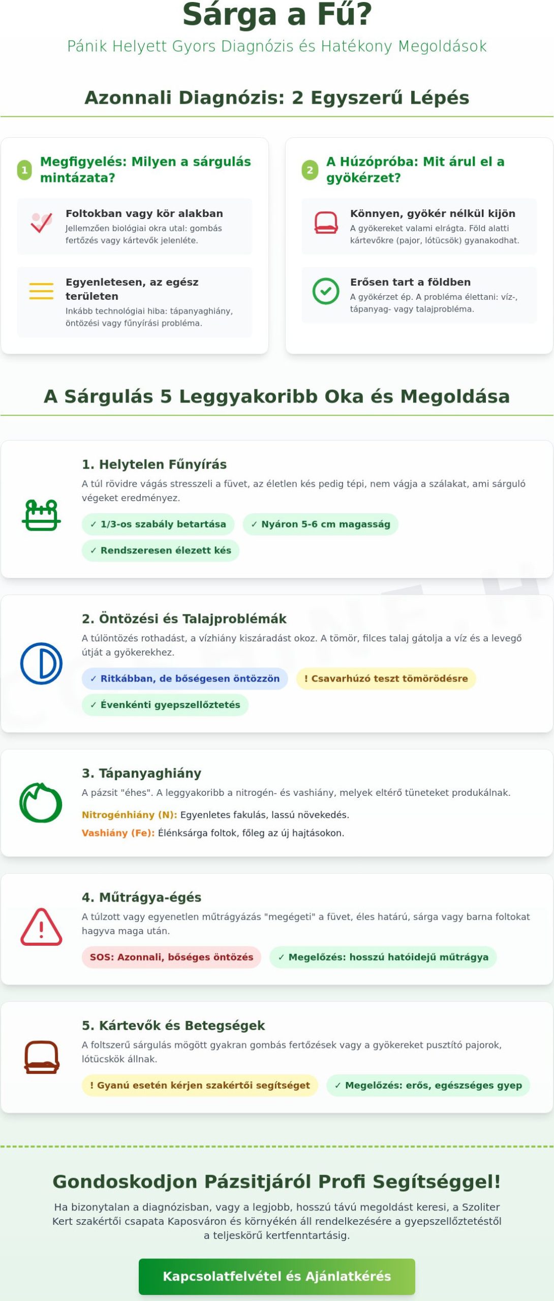 Sárga a fű, mit tegyek? Profi megoldások 2026-ban