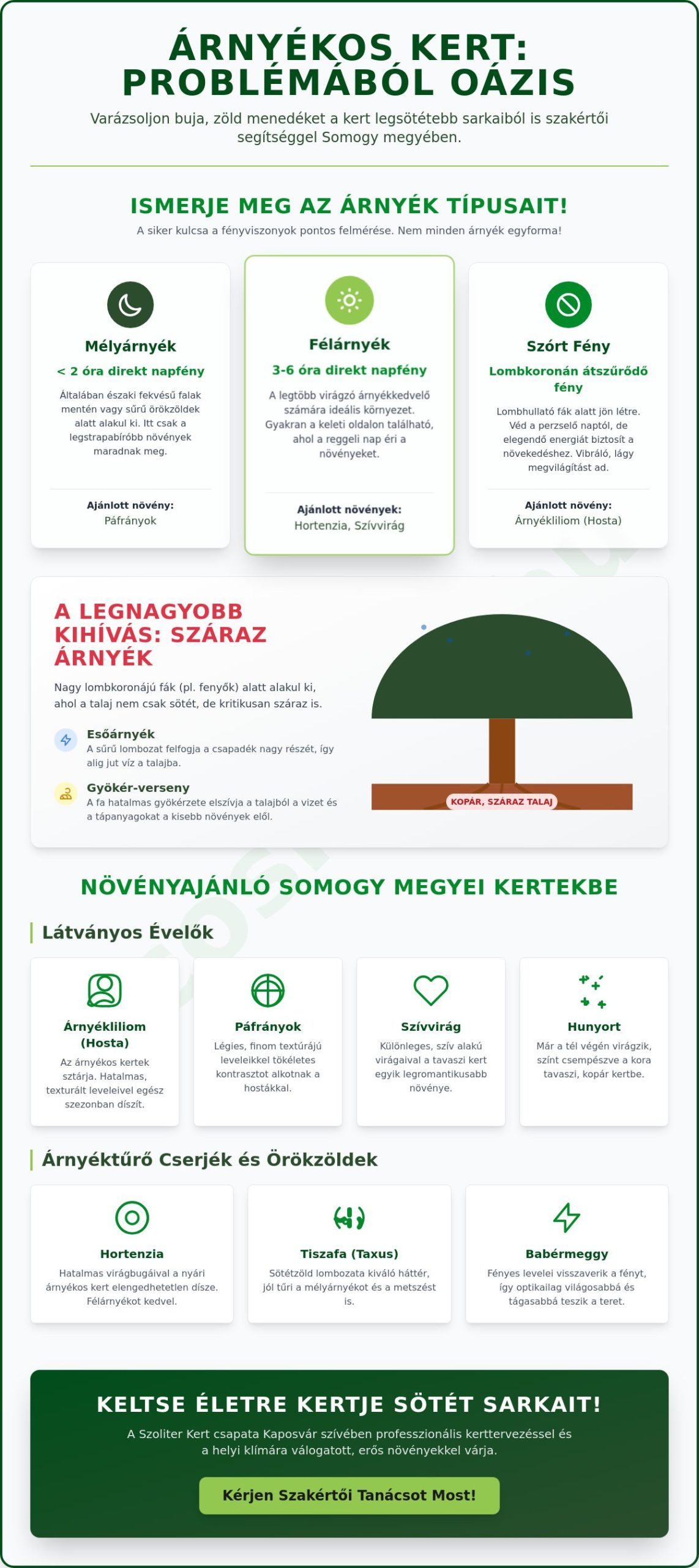 Mit ültessek árnyékba? A legszebb árnyékkedvelő növények