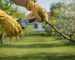 Tavaszi Metszés: Útmutató az Egészséges Kerthez 2026